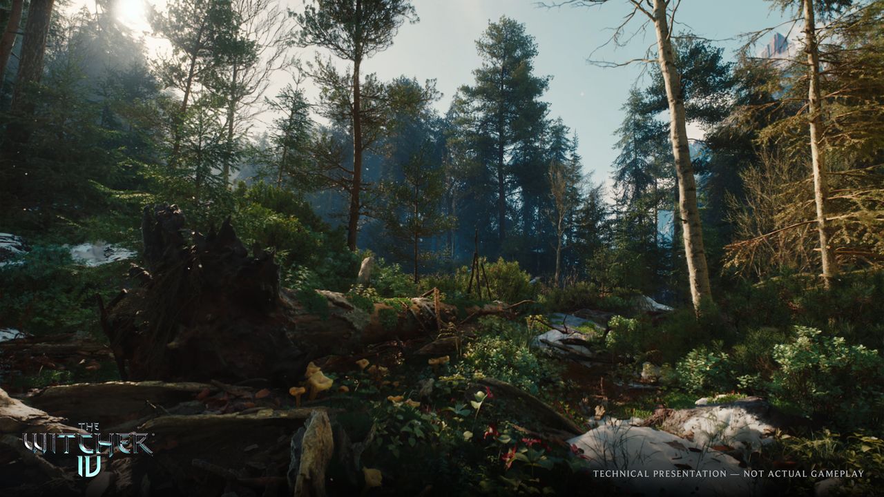 Official screenshot from The Witcher 4